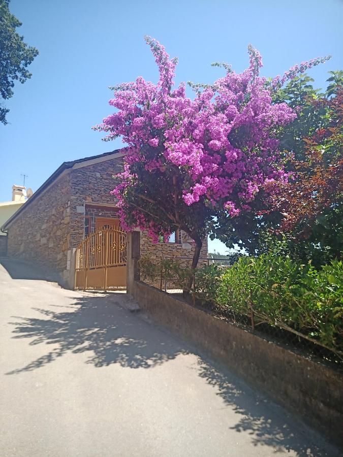 Quinta Silva Villa Ester Cameră foto